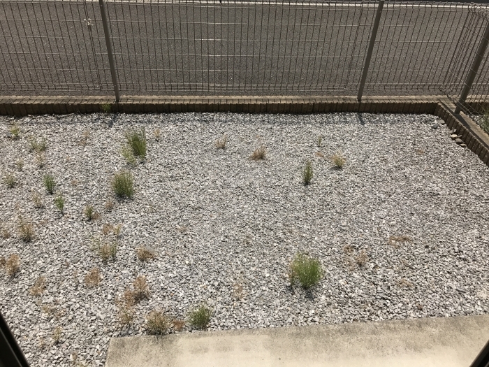 14/28 その他画像