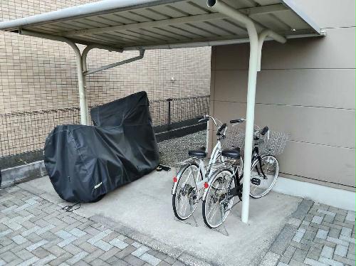 8/14 その他画像