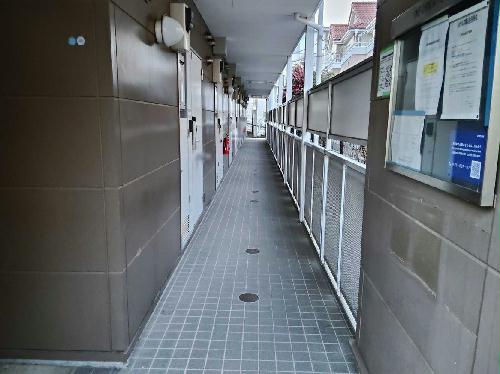 5/14 その他画像