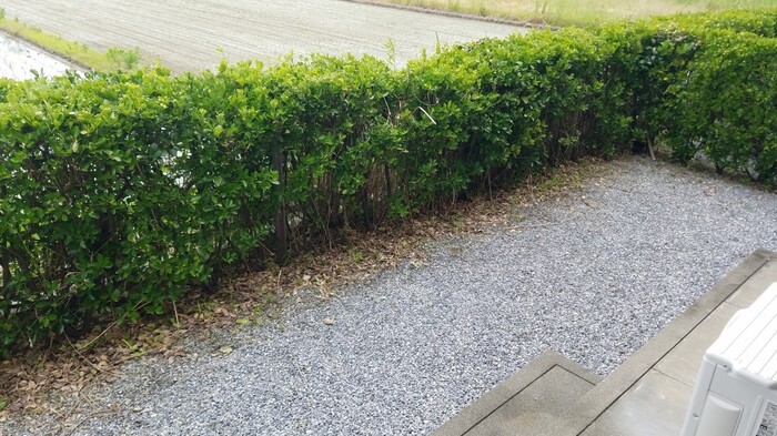 12/17 その他画像