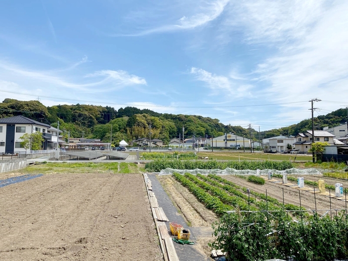 14/21 その他画像