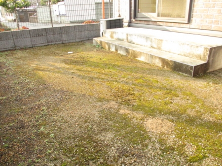 14/20 その他画像