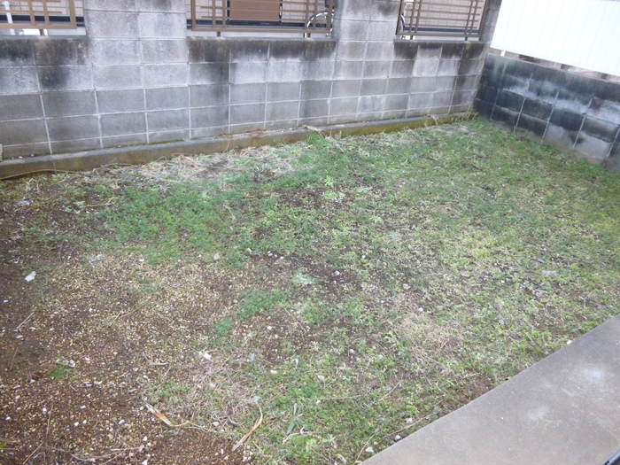 12/14 その他画像