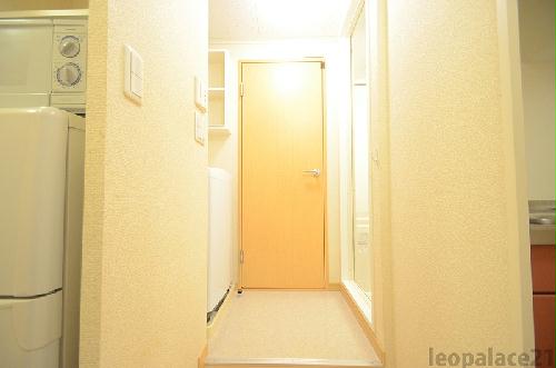 8/14 その他画像