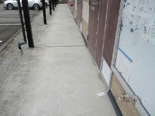 11/14 その他画像