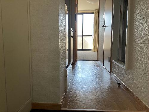 15/24 その他画像