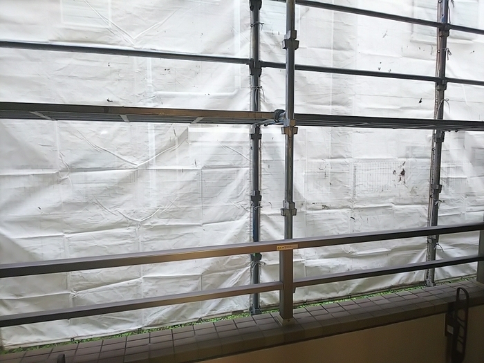 14/19 その他画像