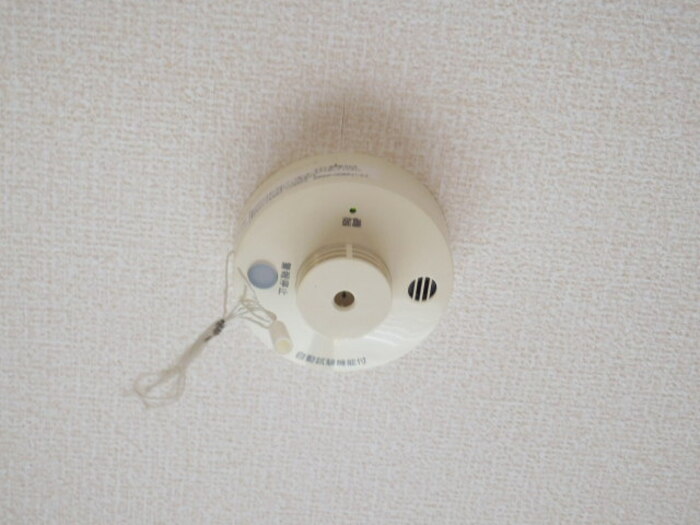 13/17 その他画像