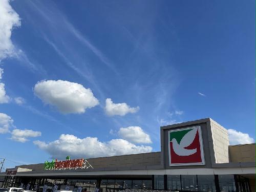 12/22 その他画像