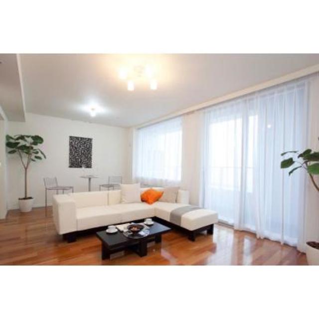 29/29 その他画像