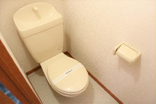 11/14 その他画像