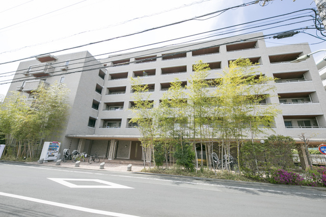 6/19 その他画像