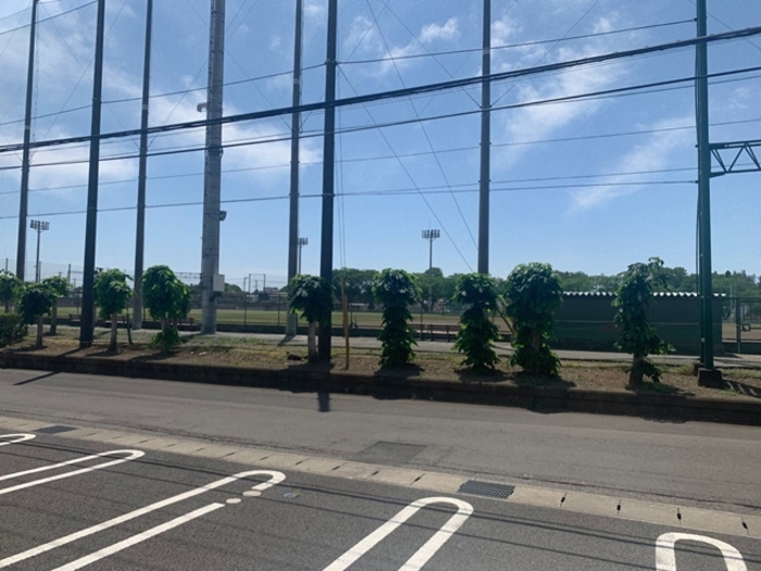 18/27 その他画像