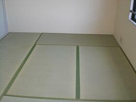 5/16 その他画像