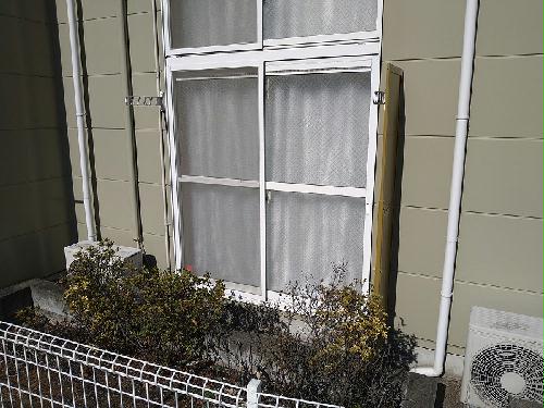 13/19 その他画像