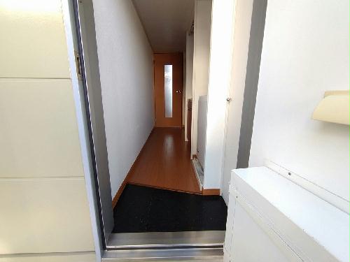 8/19 その他画像