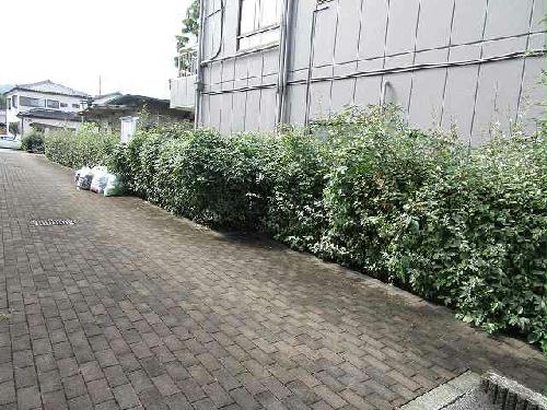 11/15 その他画像