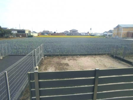 17/29 その他画像