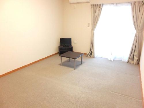 14/14 その他画像