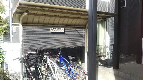 11/16 その他画像