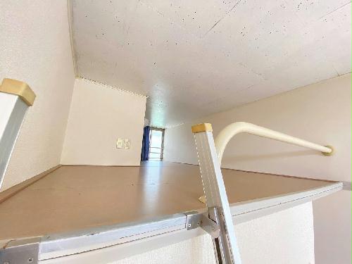 8/14 その他画像