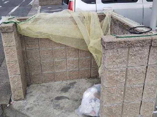 11/20 その他画像