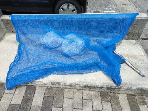 11/13 その他画像