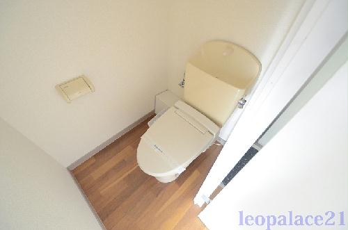 11/14 その他画像