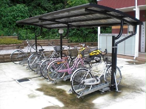 11/19 その他画像