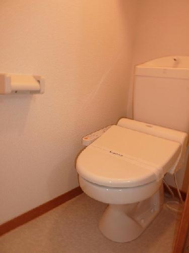 8/15 その他画像