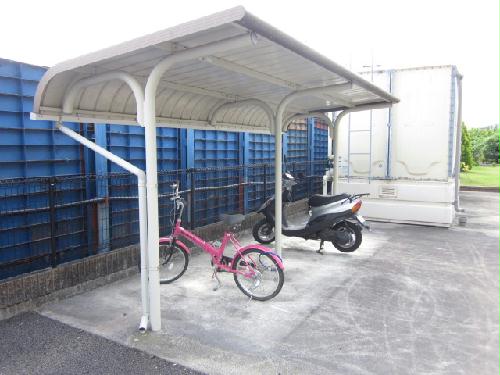 12/21 その他画像