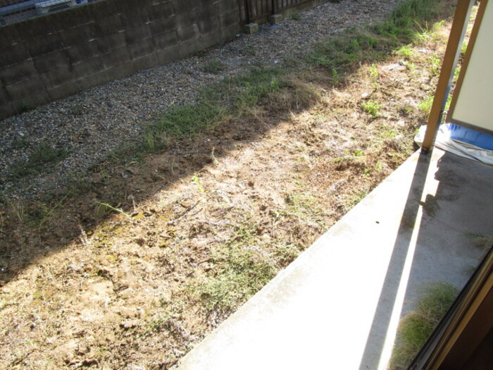 15/19 その他画像