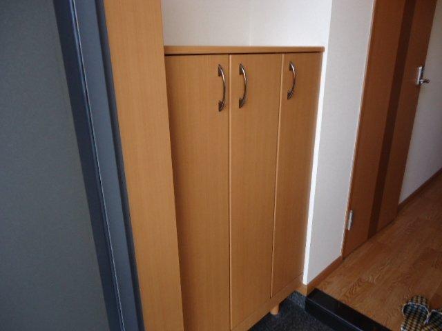 20/30 その他画像