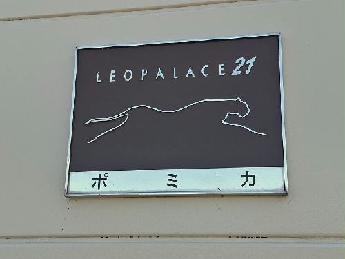 12/14 その他画像