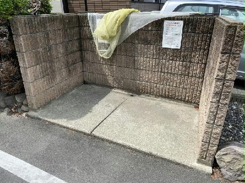 11/19 その他画像