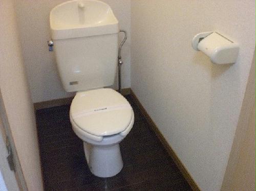 8/19 トイレ