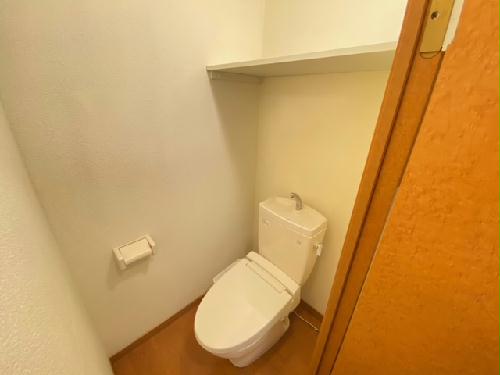 8/13 その他画像