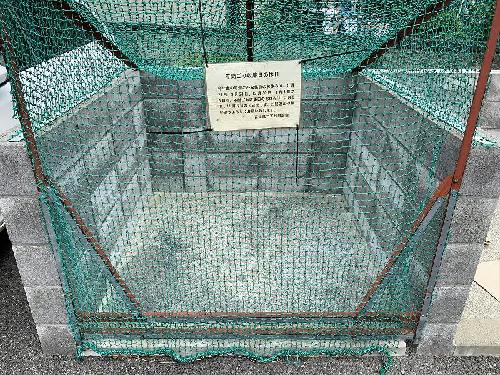 11/14 その他画像