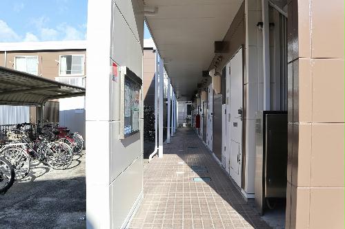 11/22 その他画像