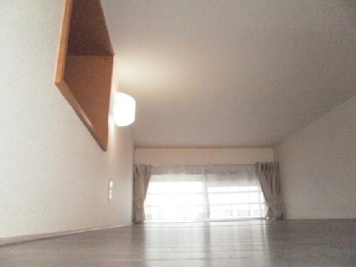 7/13 その他画像