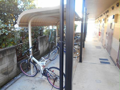 11/15 その他画像