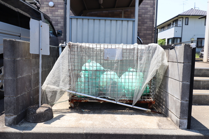 16/19 その他画像