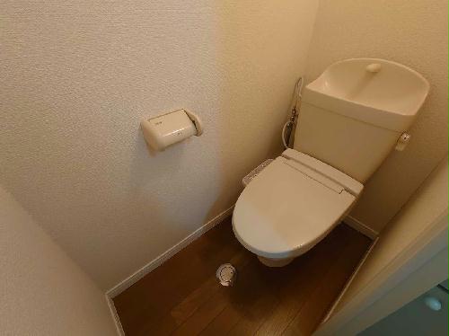 8/14 その他画像