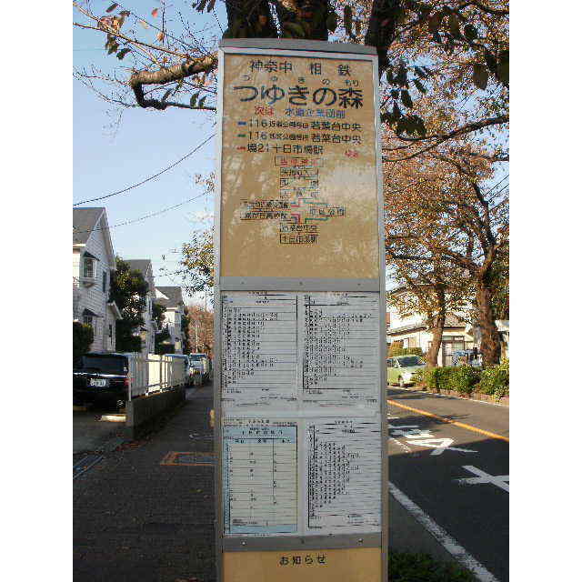 3/13 周辺