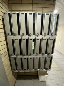 15/16 その他画像