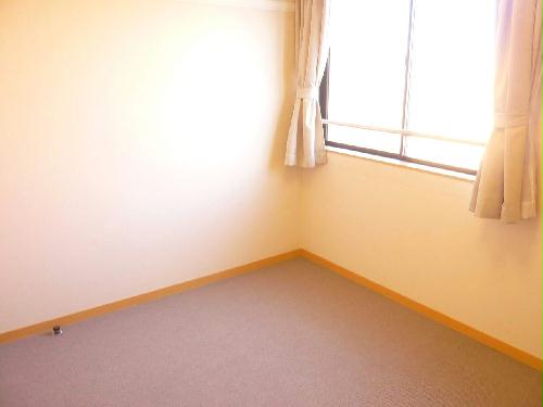 13/14 その他画像