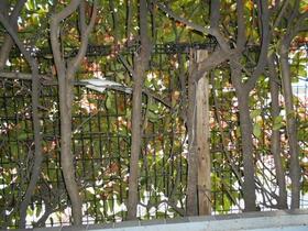 12/16 その他画像