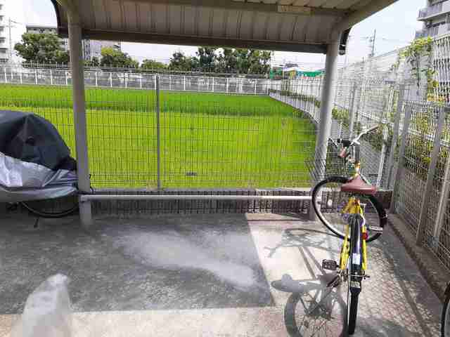 14/20 その他画像