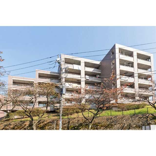 3/9 外観