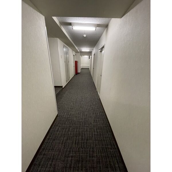 5/12 その他画像